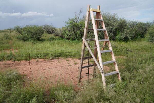 A step ladder straddles an electrified fence near the border wall fence in Hereford, Ariz., to usher illegal immigrants across private property on Aug. 24. (Allan Stein/The Epoch Times)