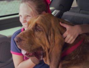 A saved dog brings bliss to a youngster in "Free Puppies." (First Run Features)