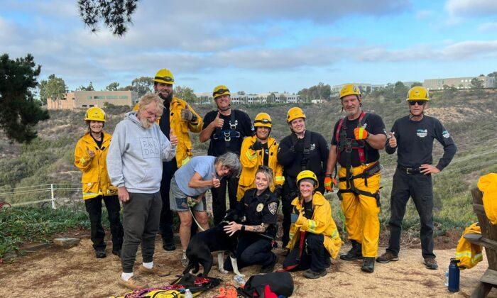 Humane Society Rescues Deaf Dog From Deep Sorrento Valley Ravine