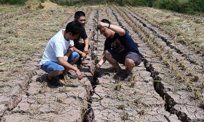 China’s Heat Wave, Water Shortage Threaten Its Role in Global Supply Chain
