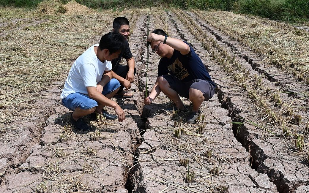 China’s Heat Wave, Water Shortage Threaten Its Role in Global Supply Chain