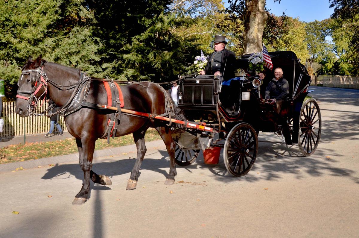A horse carriage in Central Park, Manhattan. (meunierd/Shutterstock)