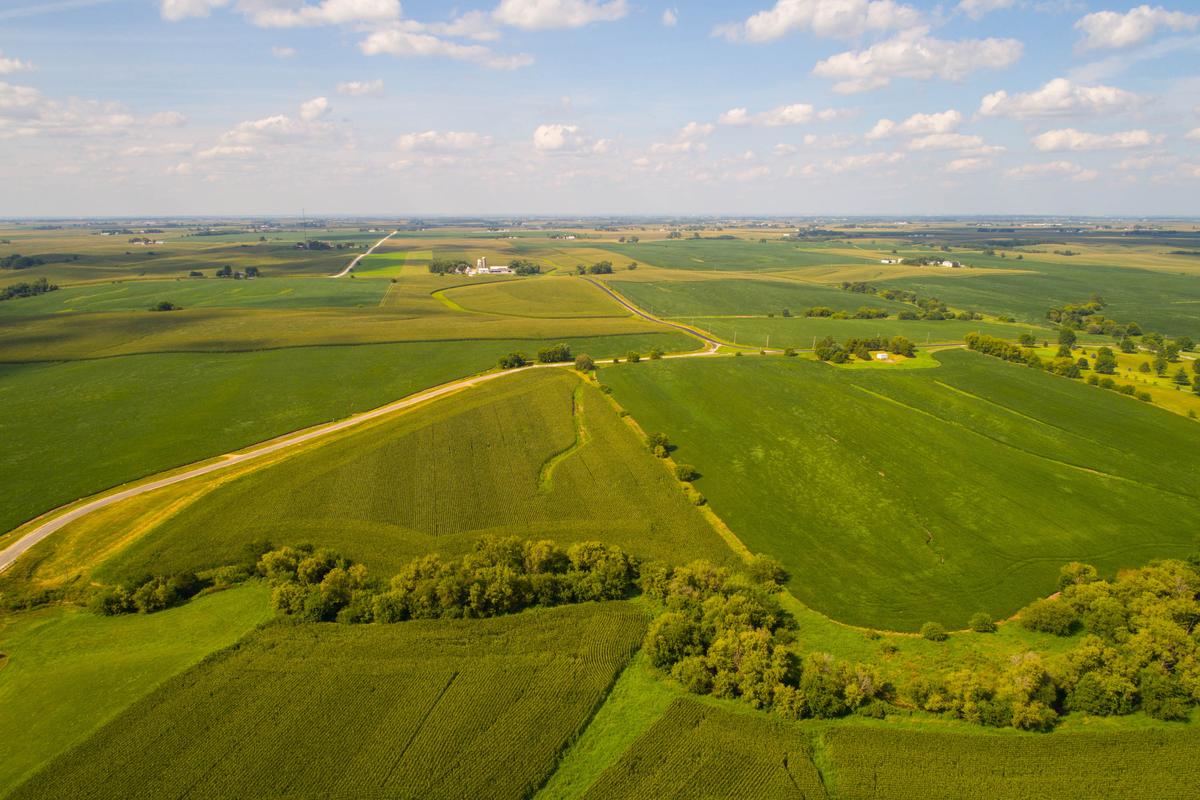 Aerial drone image of farmland landscape in Iowa. (Felix Mizioznikov/Shutterstock)