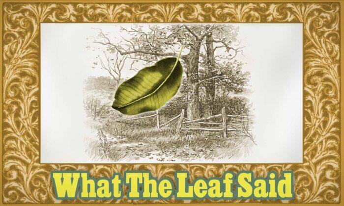 Moral Tales for Children From McGuffey’s Readers: What the Leaf Said