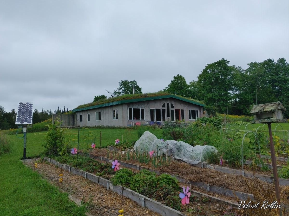  The Rollins's 40-acre off-grid property in Bruce County, Ontario. (Courtesy of Velvet Rollins)