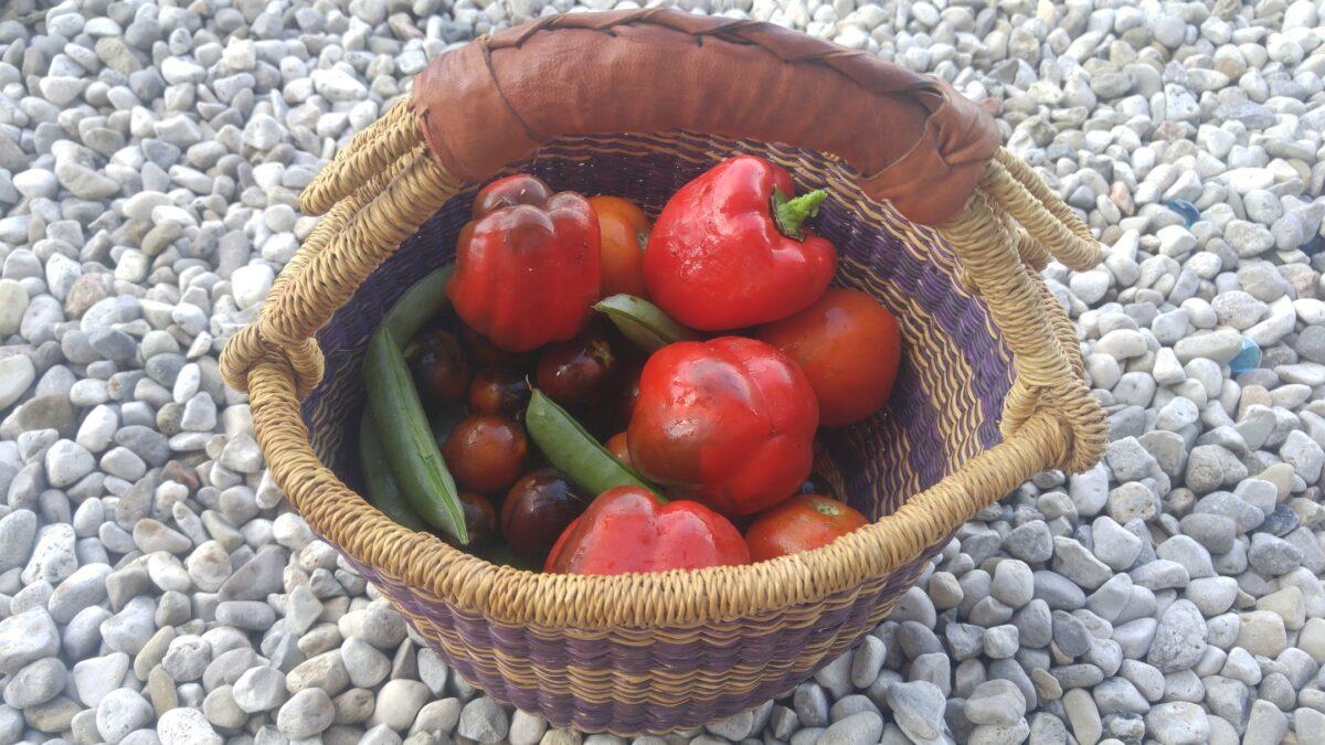 A garden harvest. (Courtesy of Velvet Rollins)