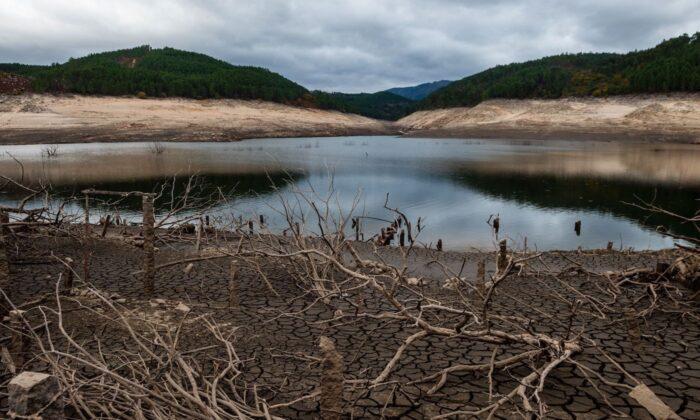 Global Electricity Generated by Hydropower Hit Hard by Severe Droughts