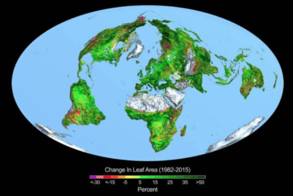  The Australian Commonwealth Scientific and Industrial Research Organisation (CSIRO), in collaboration with the Australian National University (ANU), found the distribution area of ​​vegetation increased by 11 percent due to the effect of carbon dioxide fertilization in arid areas of the world between 1982 and 2015 through satellite observations. (Courtesy of Patrick Moore)