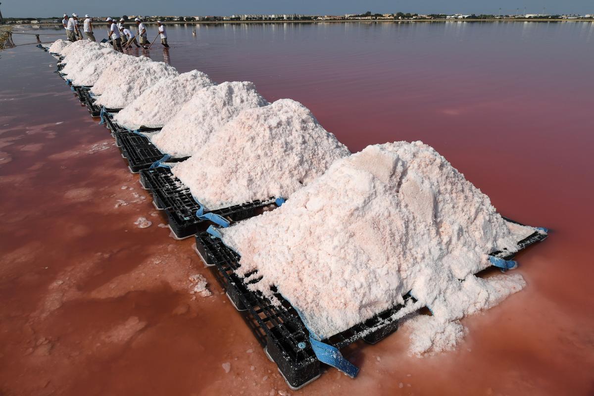  Salt pans cover 10,000 hectares at Aigues-Mortes, where workers collect salt crystals on Aug. 22, 2018.  After harvesting the ‘fleur de sel,’ a hand-harvested sea salt, they must wait until September to harvest the salt which is used as table salt. (Pascal Guyot/AFP via Getty Images)
