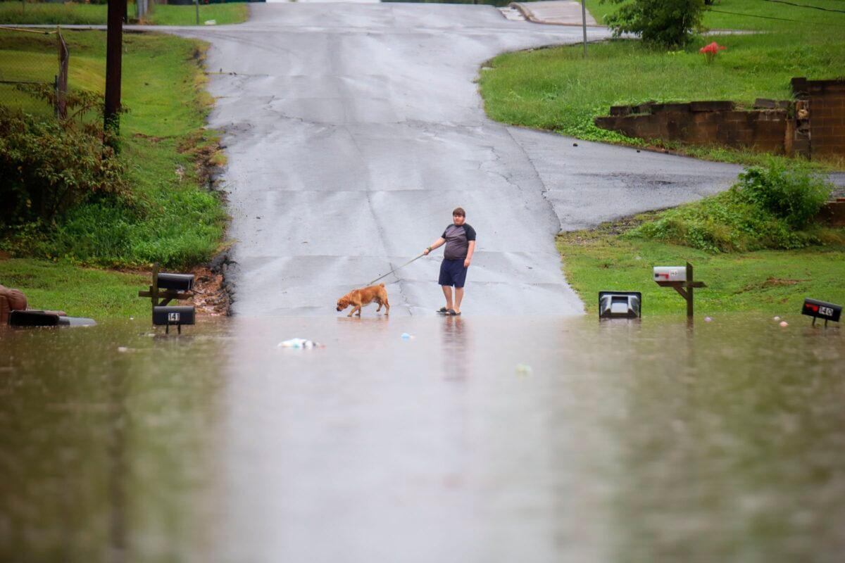 A young man walks his dog along a flooded Bittings Avenue in Summerville, Ga., on Sept. 4, 2022. (Olivia Ross/Chattanooga Times Free Press via AP)