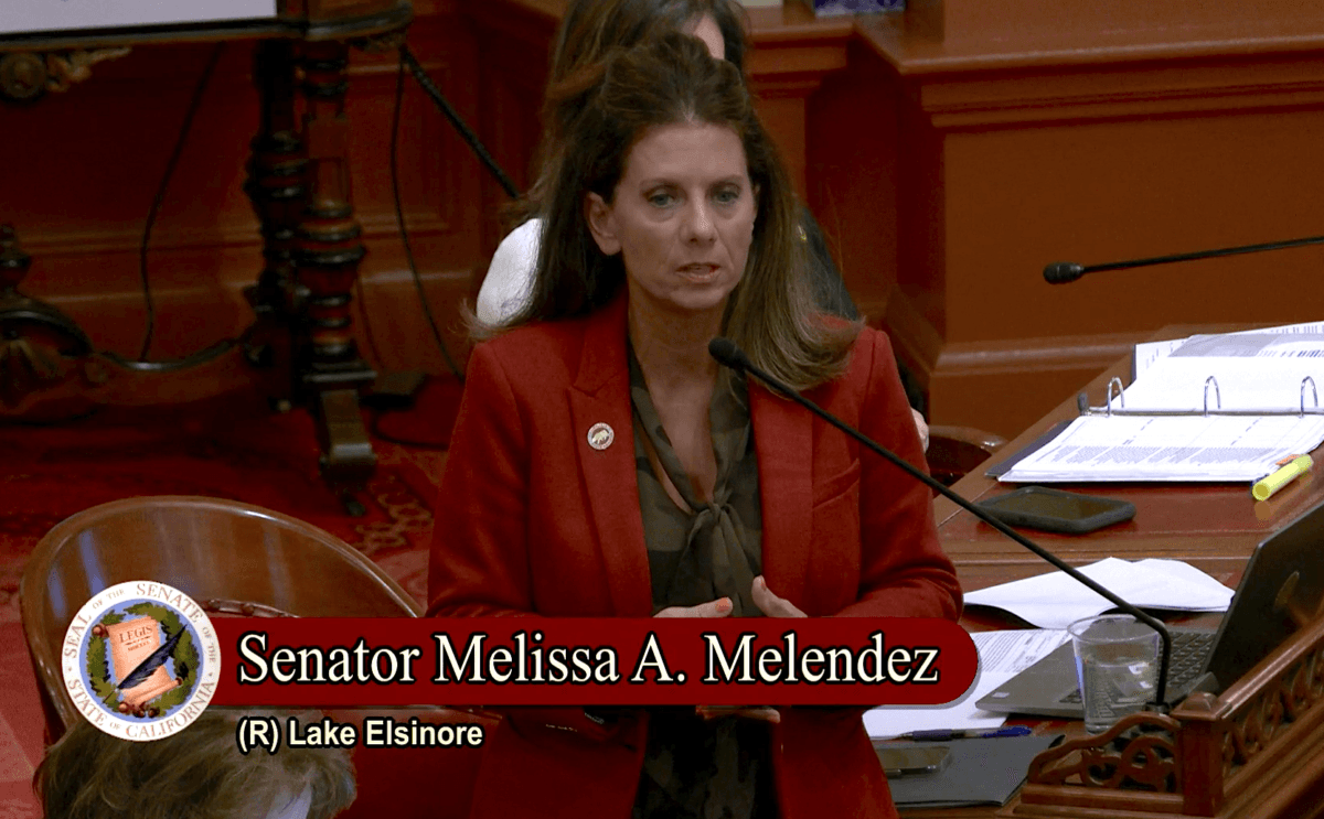 State Sen. Melissa Melendez speaks in front of the California State Senate on Aug. 31, 2022. (Screenshot via California State Senate)