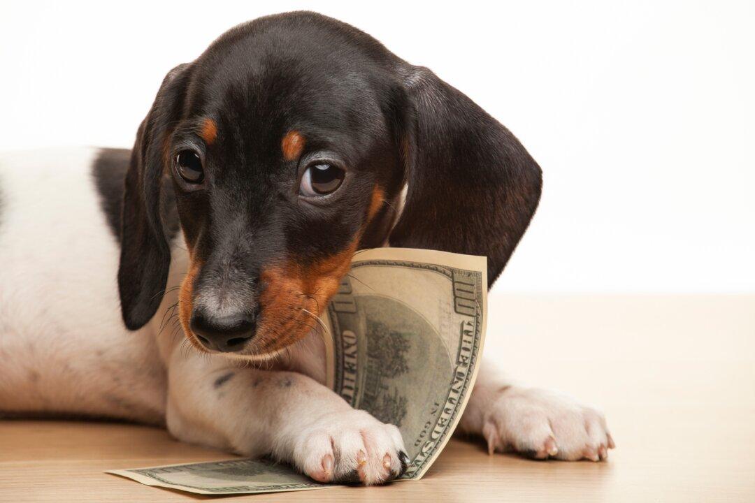 Family Finances: Starting the New Year Without Guilt