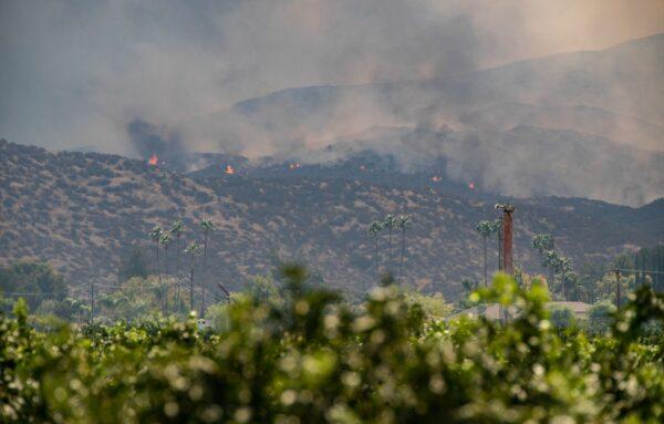 The Fairview Fire is burning in Hemet, Calif., on Sept. 6, 2022. (John Fredricks/The Epoch Times)