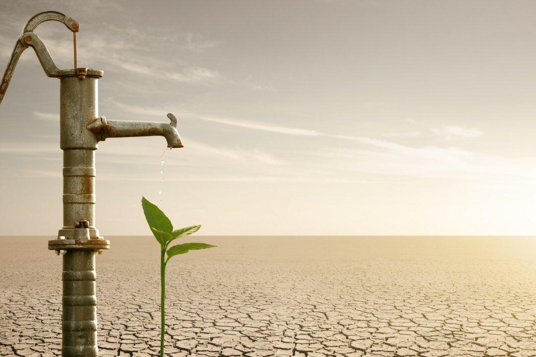 What’s Happening With Farmers and Food Prices