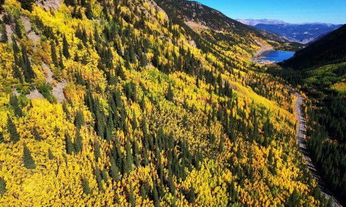 Colorado’s Fall Colors Are Coming—and Leaf-Peepers Have a Lot to Be Excited About This Year