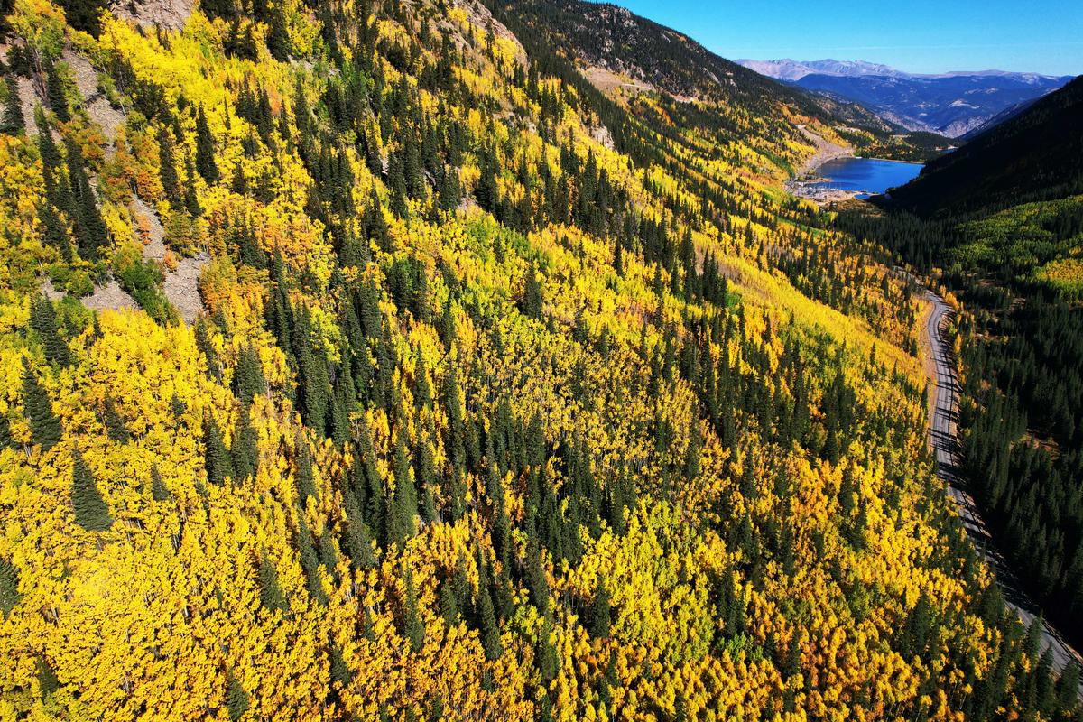 Colorado’s Fall Colors Are Coming—and Leaf-Peepers Have a Lot to Be Excited About This Year
