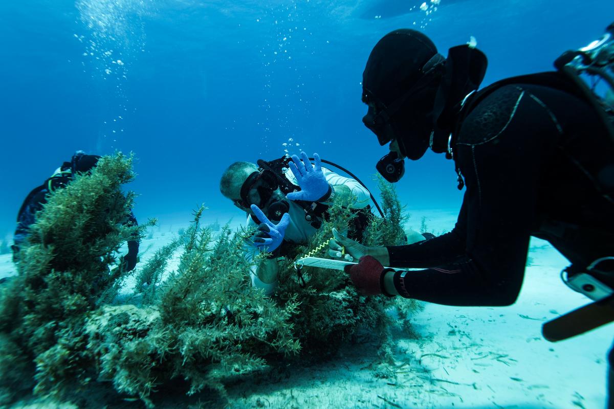 The team record an iron anchor along the Maravillas shipwreck trail. (Courtesy of Brendan Chavez/Allen Exploration via <a href="https://www.bahamasmaritimemuseum.com/">Bahamas Maritime Museum</a>).