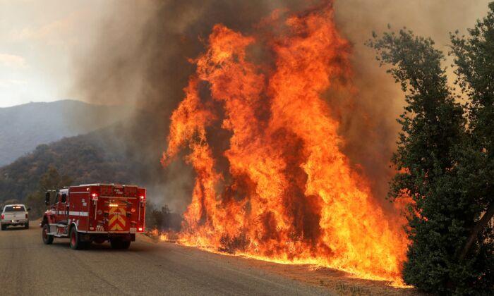 Southern California Fire Burns Down 36 Structures, at 53 Percent Containment