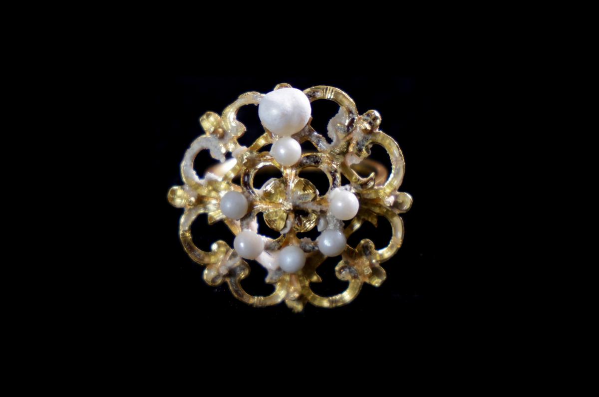 A gold and pearl ring from the shipwreck. (Courtesy of Nathaniel Harrington/Allen Exploration via <a href="https://www.bahamasmaritimemuseum.com/">Bahamas Maritime Museum</a>).