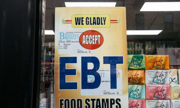 Food Stamp Program Losing $1 Billion Every Month to Alleged Fraud, Errors: Sen. Ernst