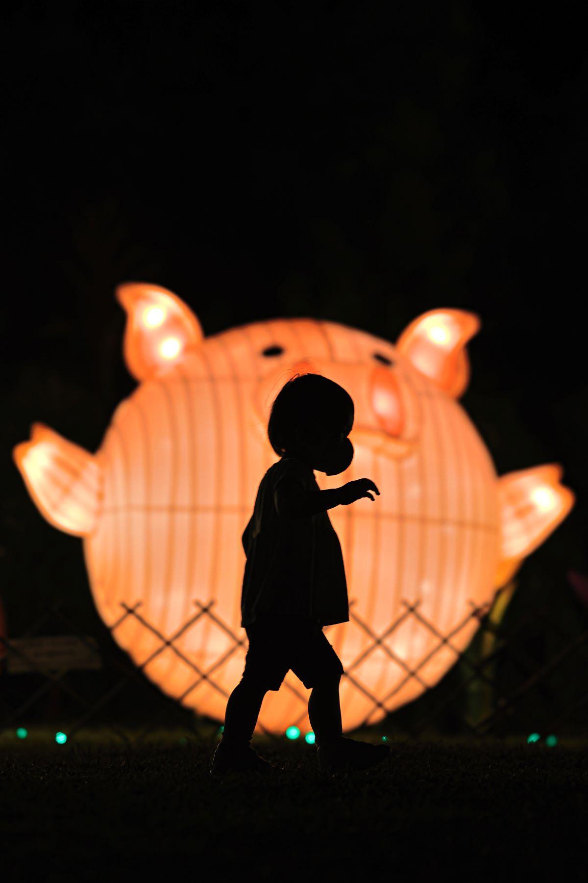 Piglet-shaped lanterns in Tai Po Waterfront Park on Sep 7, 2022. (TM Chan /The Epoch Times)