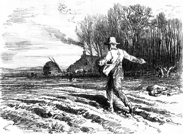 Engraving of a farmer planting sees in the spring. (Morphart Creation/Shutterstock)