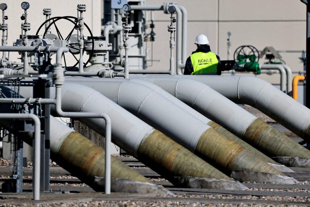 European Power Companies Demand Subsidies as Russian Gas Is Cut Off From Most of Europe