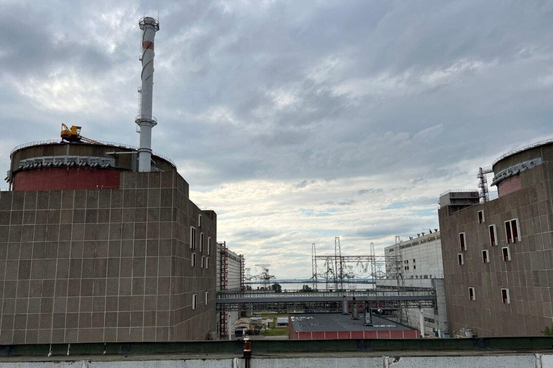 UN Agency Calls for Safety Zone Around Ukraine Nuclear Plant