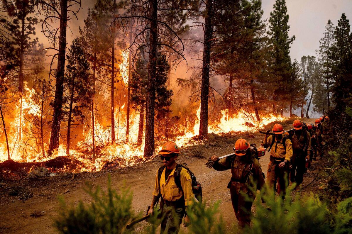 Firefighters walk past backfire, flames lit by firefighters to burn off vegetation, while battling the Mosquito Fire in the Volcanoville community of El Dorado County, Calif., on Sept. 9, 2022. (Noah Berger/AP Photo)