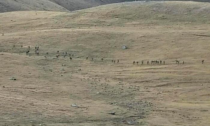 Armenia, Azerbaijan Report 99 Troops Killed in Border Clash