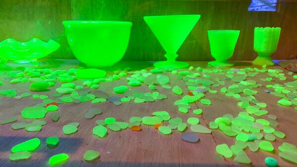 Glass in the blacklight room at the Sea Glass Museum in Fort Bragg, Calif., on Sept. 5, 2022. (Ilene Eng/NTD)