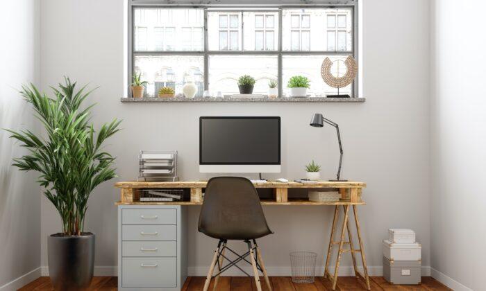 5 Feng Shui Office Ideas for a Calmer, More Productive Workspace
