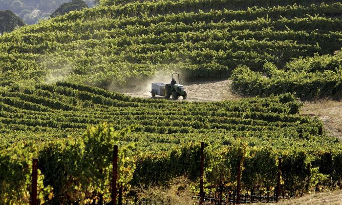 New Wine Project Rekindles Debate on IDA Reform in Orange County