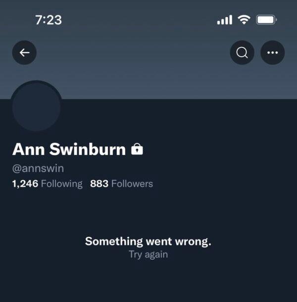 A screenshot of Ann Swinburn’s now deleted Twitter account. (Screenshot via ReopenCASchools Twitter)