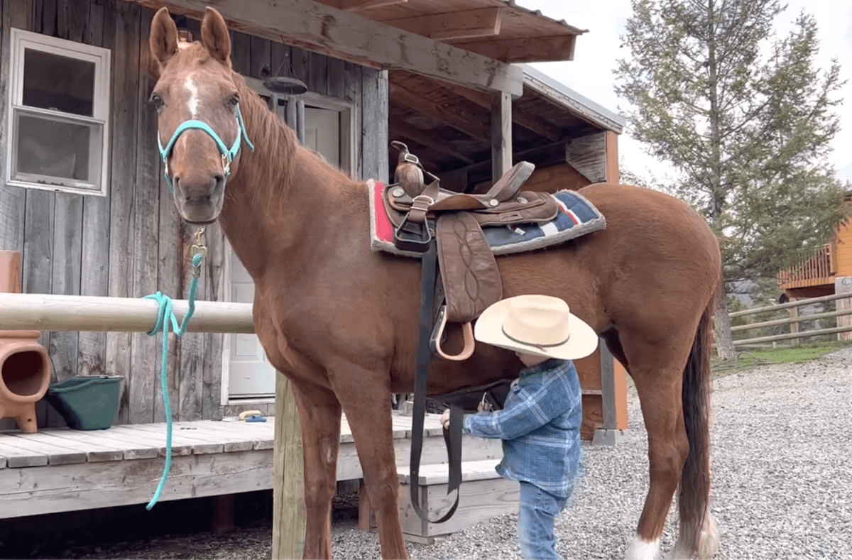 Hank can saddle up and take care of his horse like a real cowboy. (Courtesy of <a href="https://www.youtube.com/channel/UCNXe838WJUDDQ1CCuY7EoTA">Amy Boyd</a>)