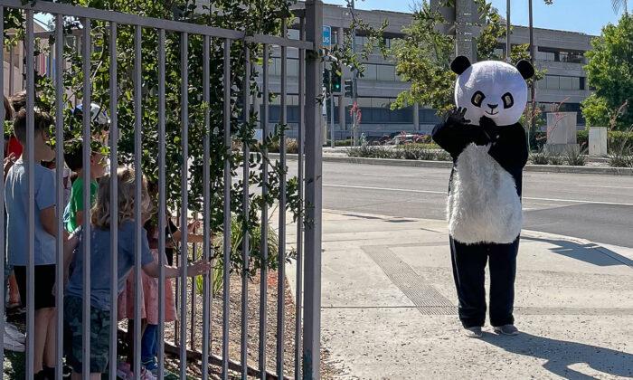 Brea’s Unofficial Mascot ‘Panda Man’ Brings Cheer to the Community