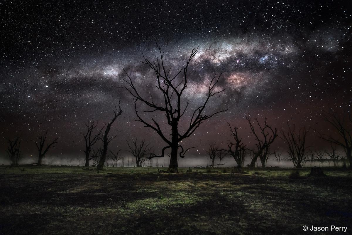  “The Outlier” by Jason Perry. (Courtesy of <a href="https://www.samuseum.sa.gov.au/">South Australian Museum</a>)