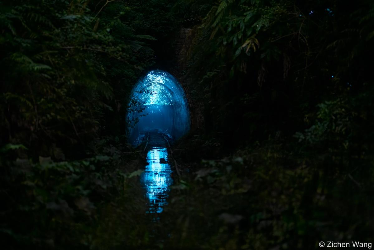  “The Tunnel of Eerie Blue Light” by Zichen Wang. (Courtesy of <a href="https://www.samuseum.sa.gov.au/">South Australian Museum</a>)