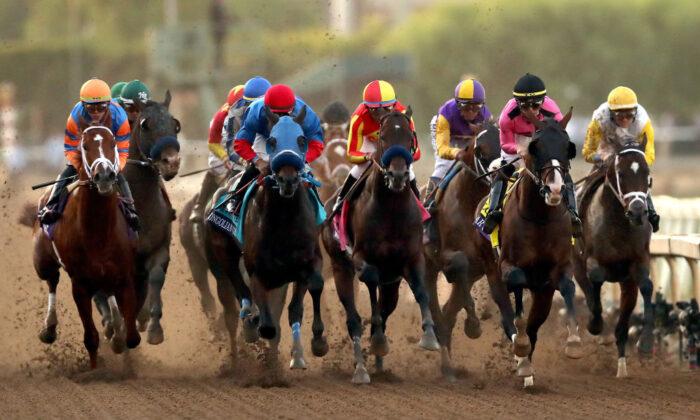 Horse Dead, Jockey Injured After Collision at Santa Anita Park