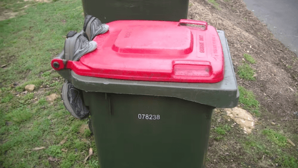 Shoes are one of many cockatoo deterrents used to thwart bin flippers. (Courtesy of Barbara Klump and John Martin)