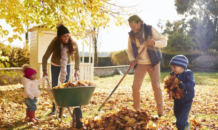 7 Essential Leaf-Raking Tips to Make Your Fall Cleanup Much Easier
