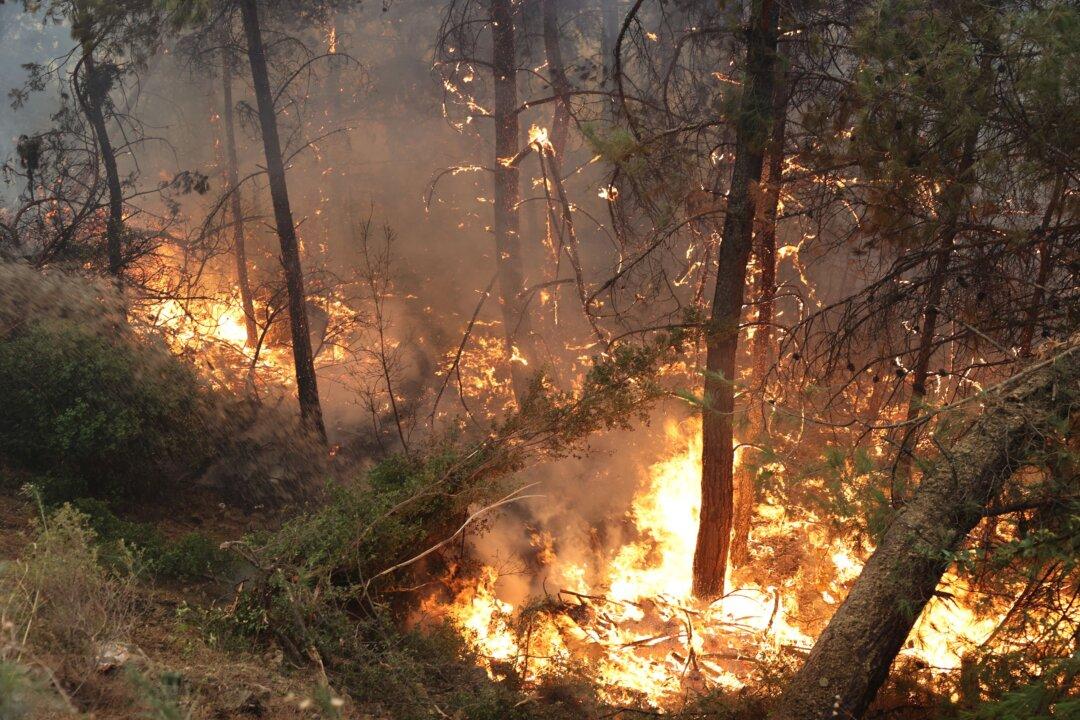 Helicopter Crashes En Route to Turkish Wildfire; 2 Killed