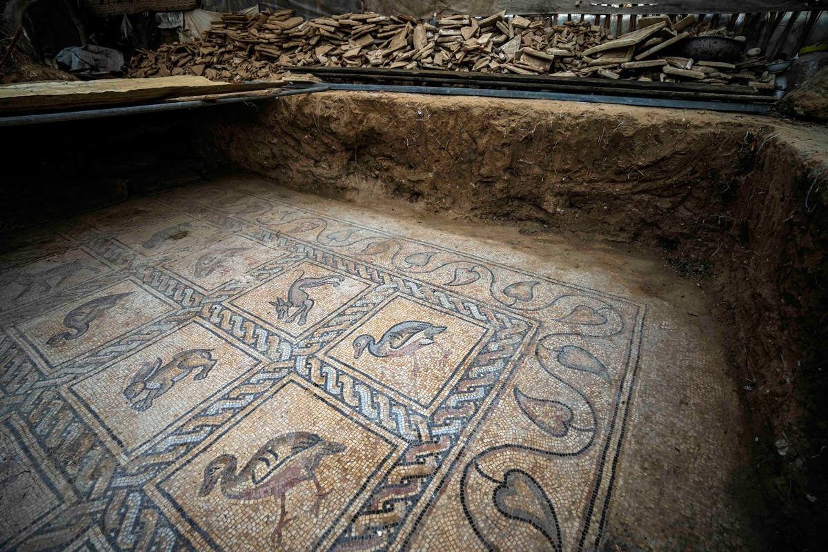 Details of a Byzantine-era mosaic floor are uncovered by a Palestinian farmer in Bureij in central Gaza Strip, Sept. 5, 2022. (Fatima Shbair/AP Photo)