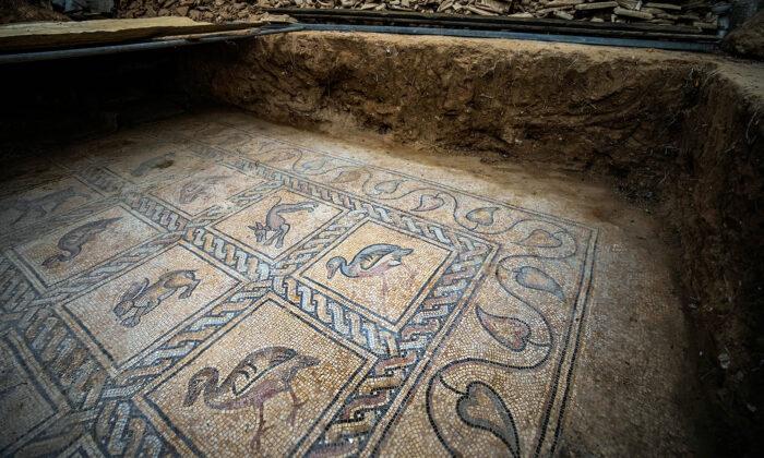 Farmer Discovers ‘Exceptional’ Byzantine-Era Mosaic in Gaza Featuring Beasts, Birds, Stunning Geometry