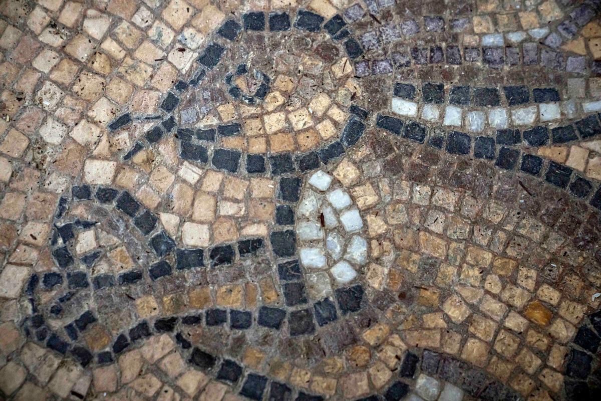 A detail depicting beasts on a Byzantine-era mosaic floor that was uncovered recently by a Palestinian farmer in Bureij in central Gaza Strip, Sept. 5, 2022. (Fatima Shbair/AP Photo)
