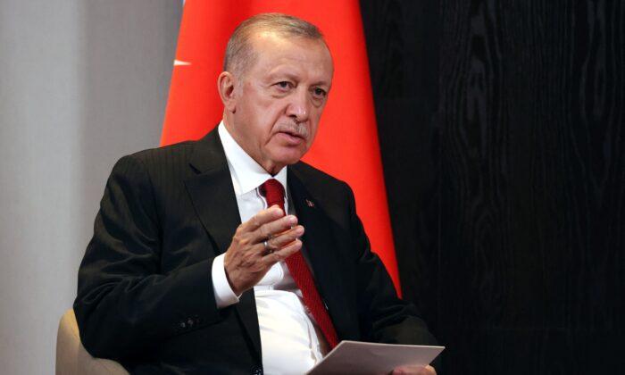In Fresh Mediation Bid, Turkey’s Erdogan Talks to Russian, Ukrainian Counterparts
