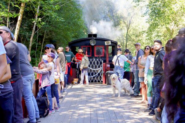 Passengers enjoy scenery while riding the open car of the Skunk Train in Fort Bragg, Calif., on Sept. 4, 2022. (Cynthia Cai/The Epoch Times)