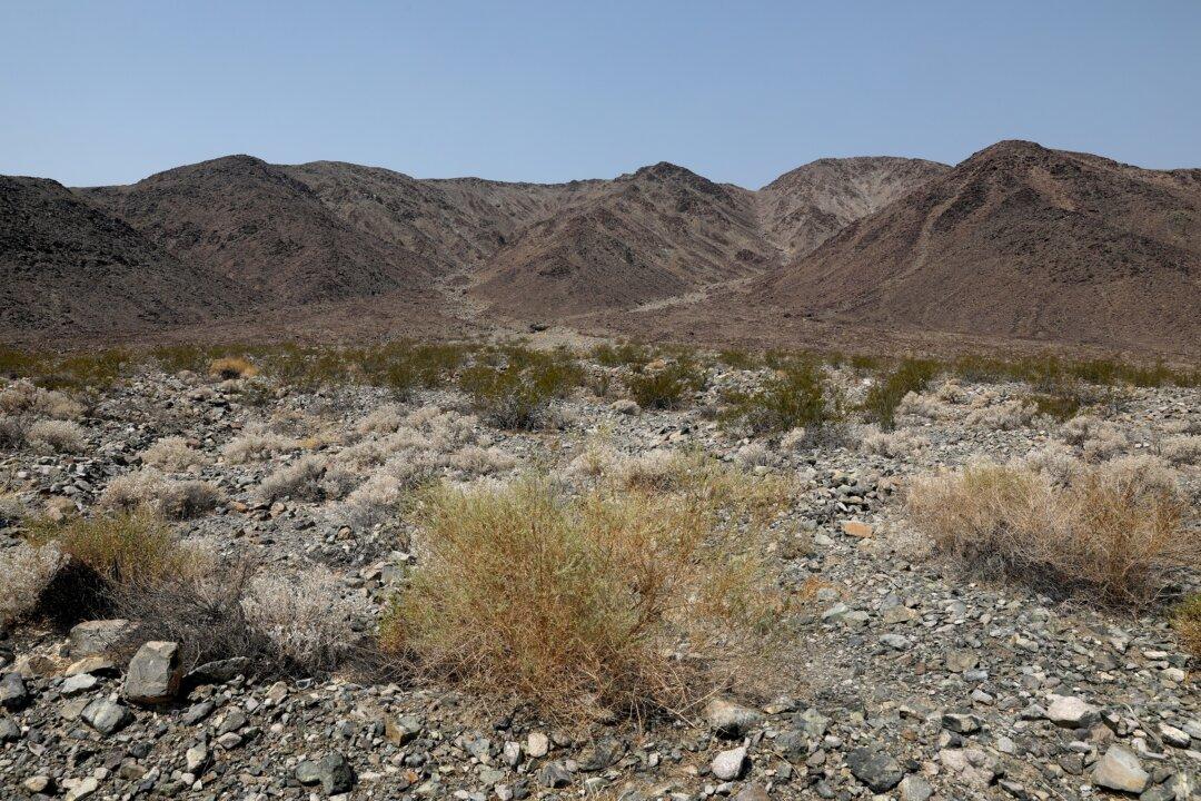 Meet the California Professor Who Hiked 500 Miles Across the Mojave Desert