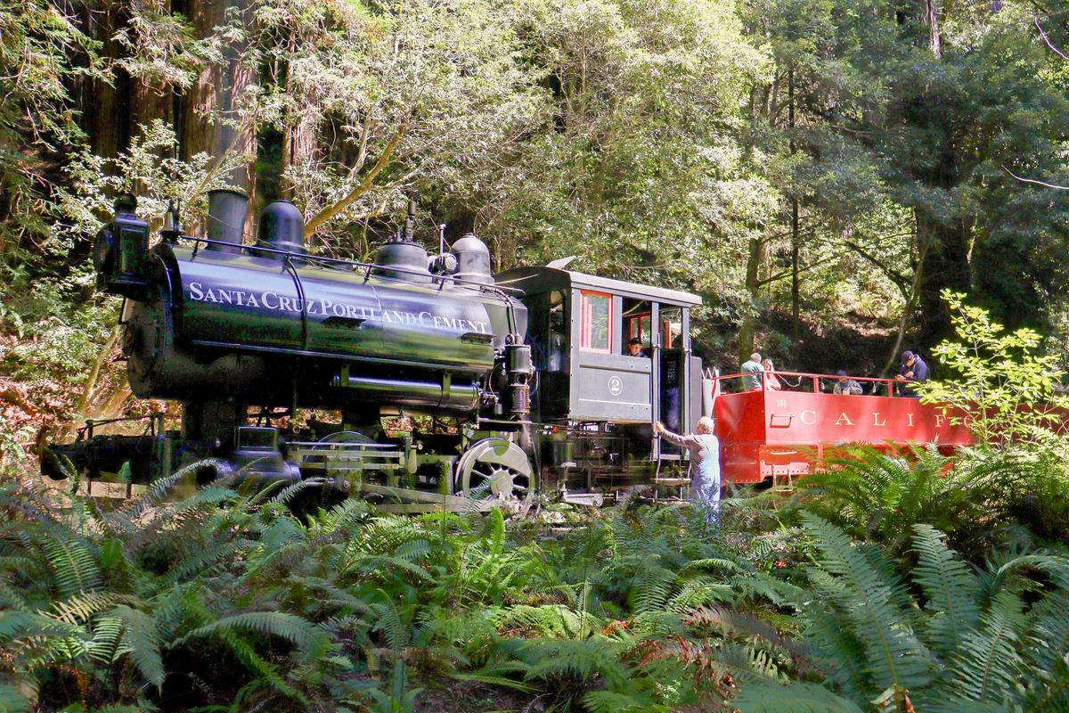Historic ‘Skunk Train’ Offers Rides Through the Redwoods