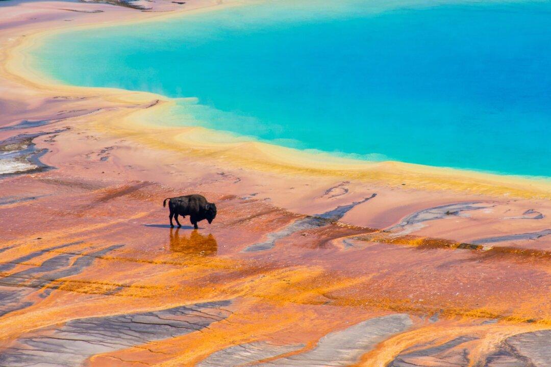 The Best Family Vacation Destinations That Won’t Break the Bank